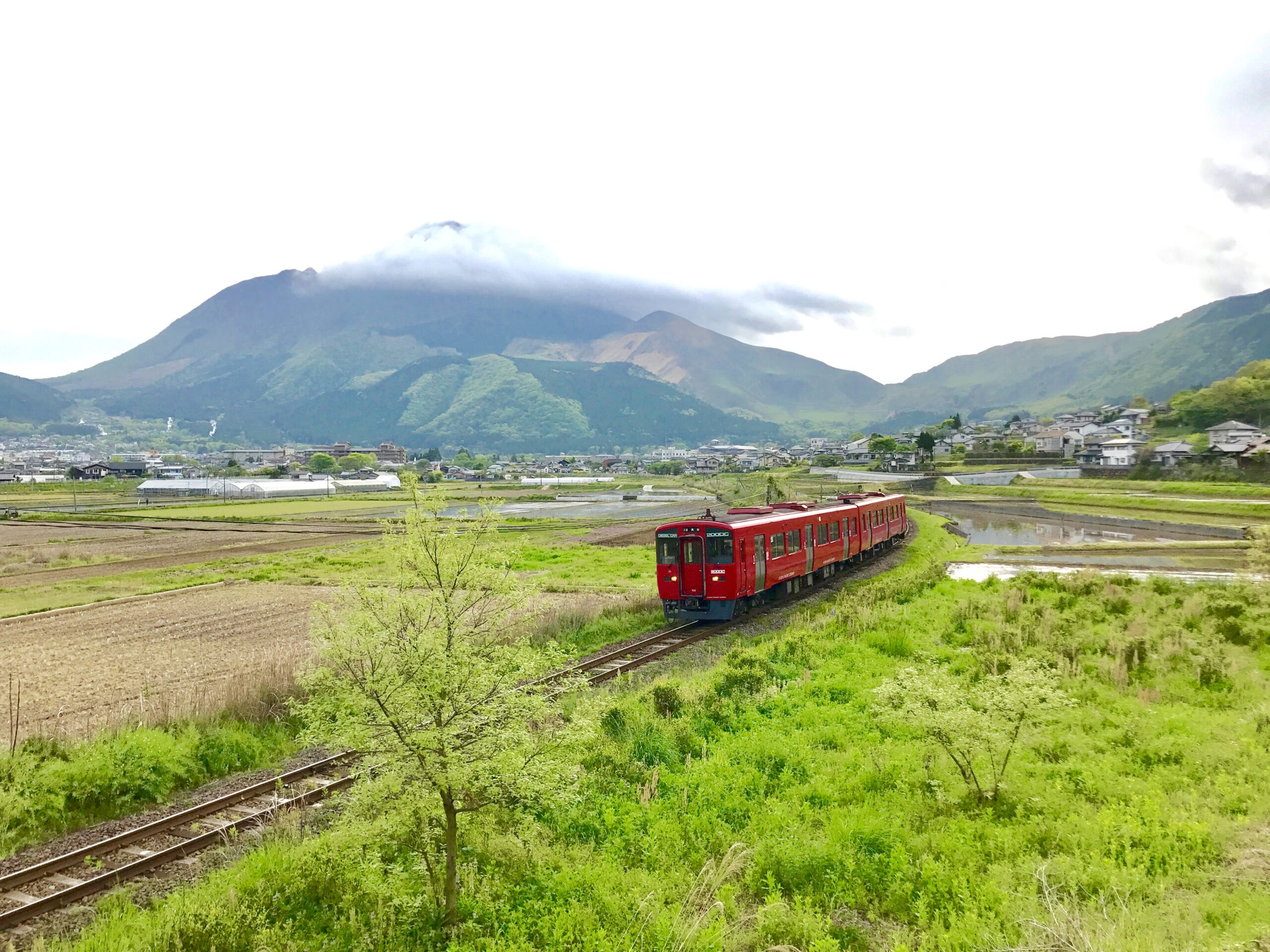 由布院の森 / 移動設計