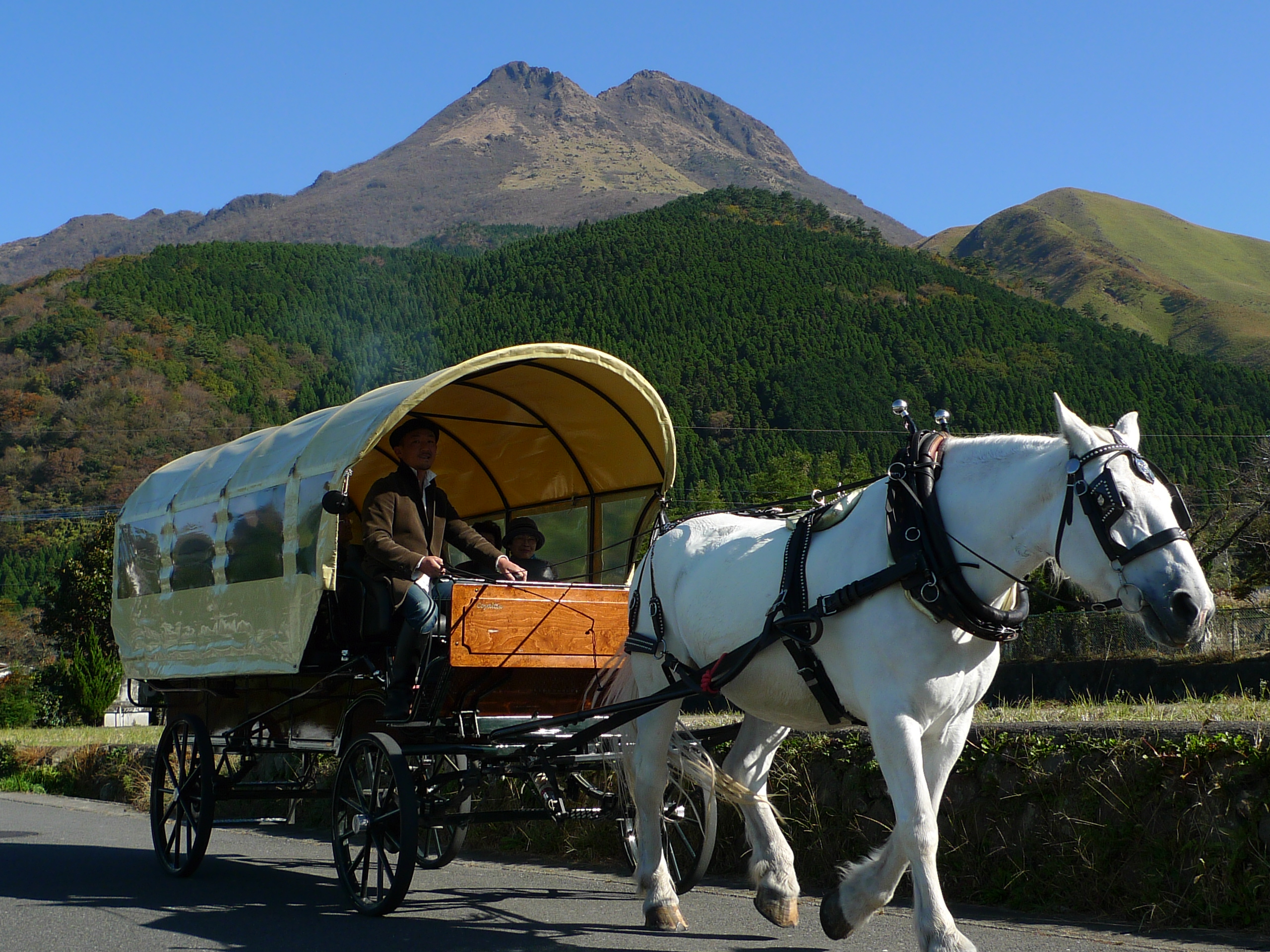 湯布院辻馬車の観光風景
