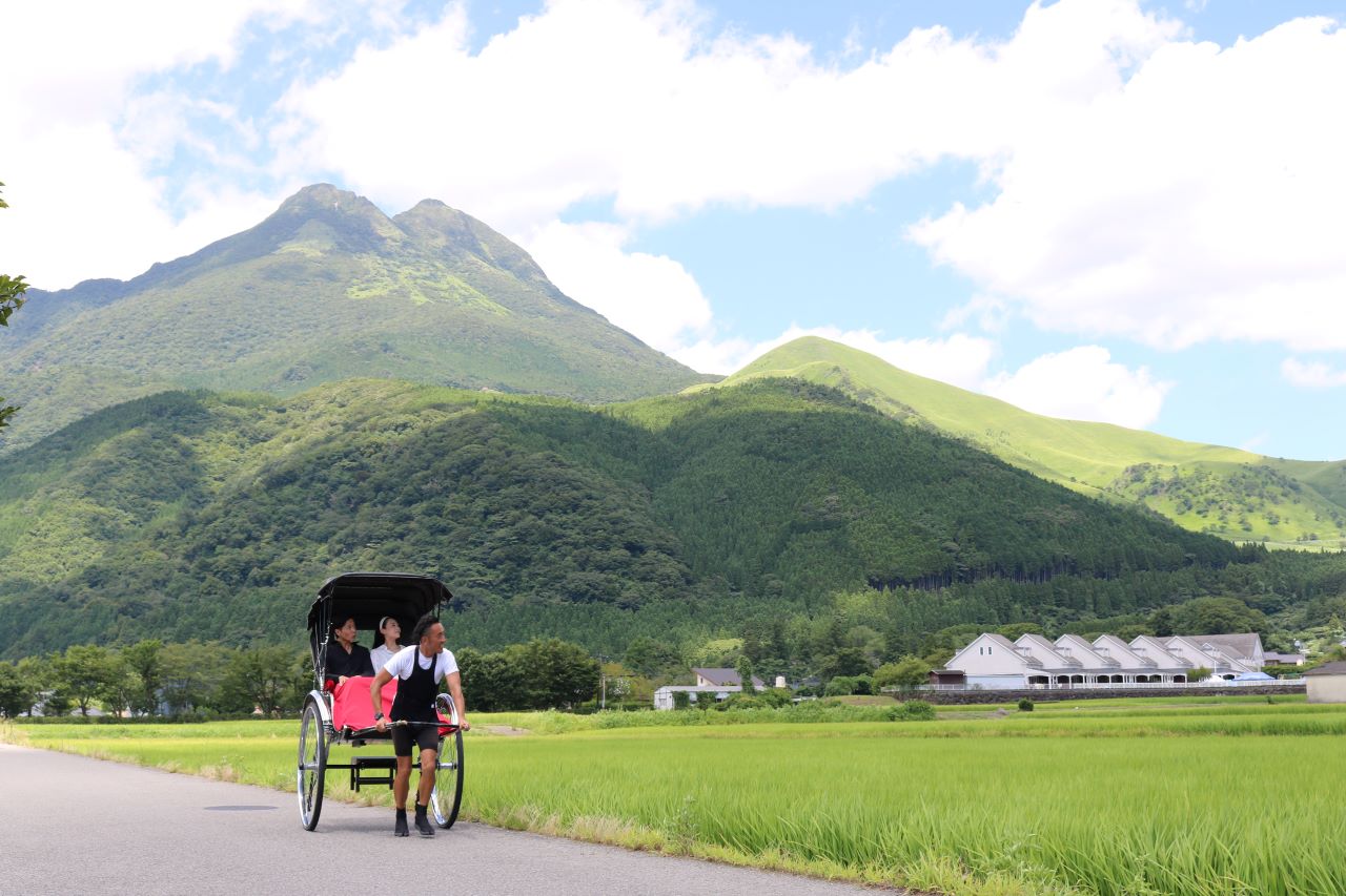 えびすや人力車の乗車風景