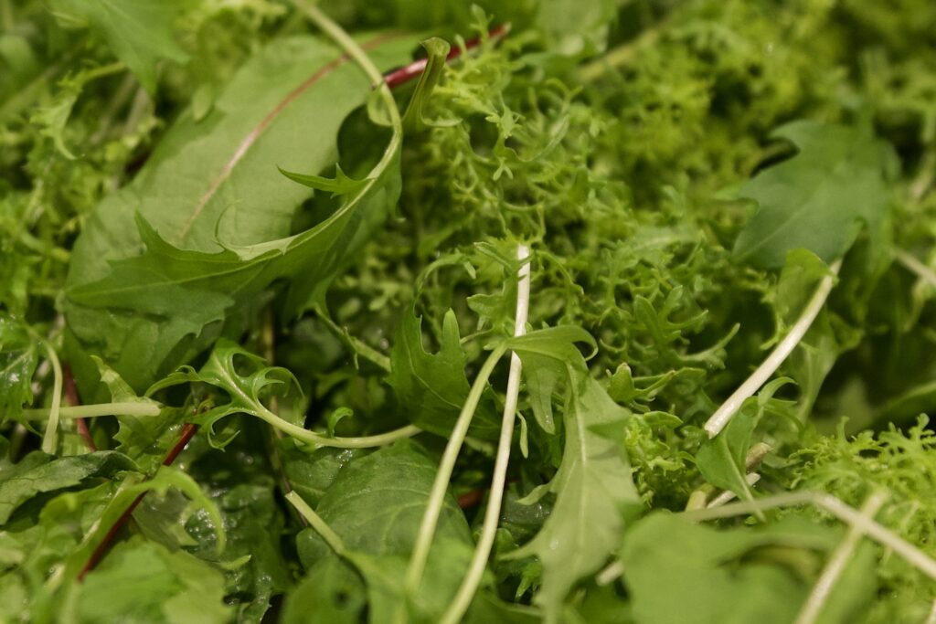 湯布院農家のサラダ